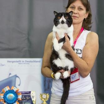 Tomsypep's profile picture. 