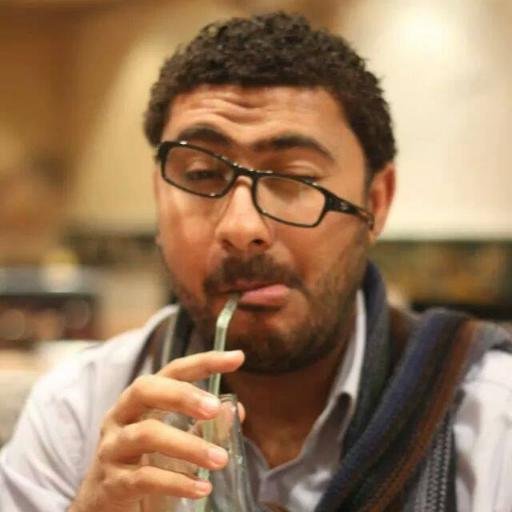 The League of Arab States
Chief Executive Officer and Public Relations Officer · Cairo, Egypt
the Association of Egypt returned
