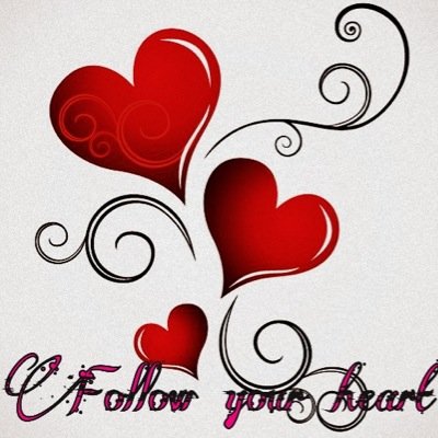 igavefree's profile picture. Follow @CamilLovesDogs y @5sosfan41 cuz they gave u a free follow ^.^