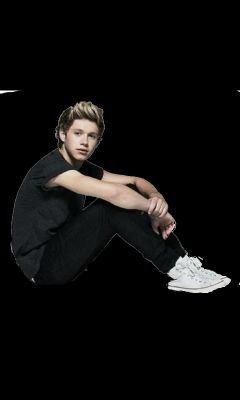 Mis chicos los mejor, 1D mi estilo de vida, NIALL MI DEBILIDAD COMPLETA