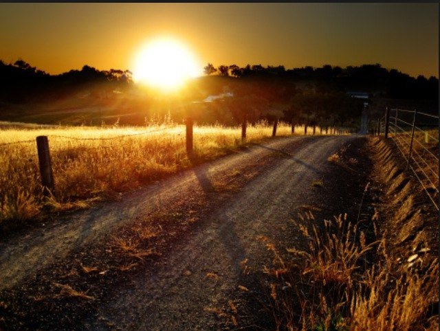 Country Music Quotes from the best country artists!