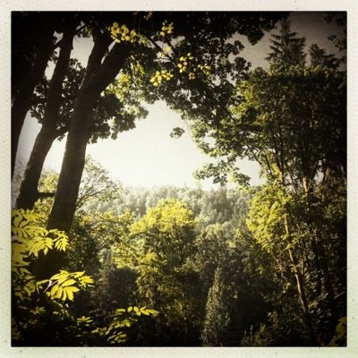 runningjAsonW's profile picture. A vegan, smoothie drinking, trail running, Landscape Architect