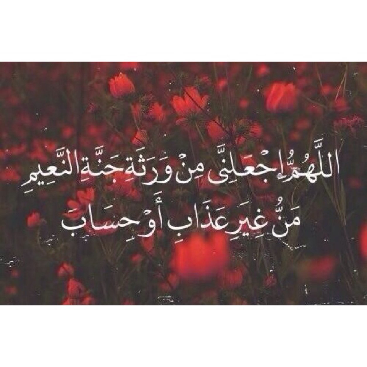 لأني اريد الجنة، ولأني اريدك معي
