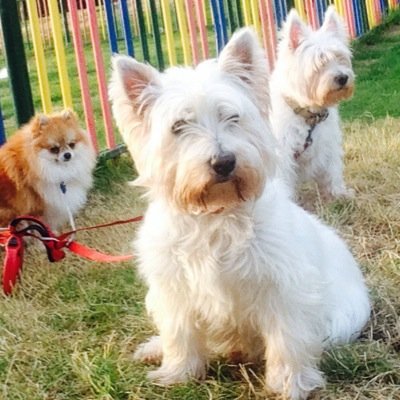 gerburns's profile picture. Energetic, Getting Things Done, Mother of two, Runner, Cyclist