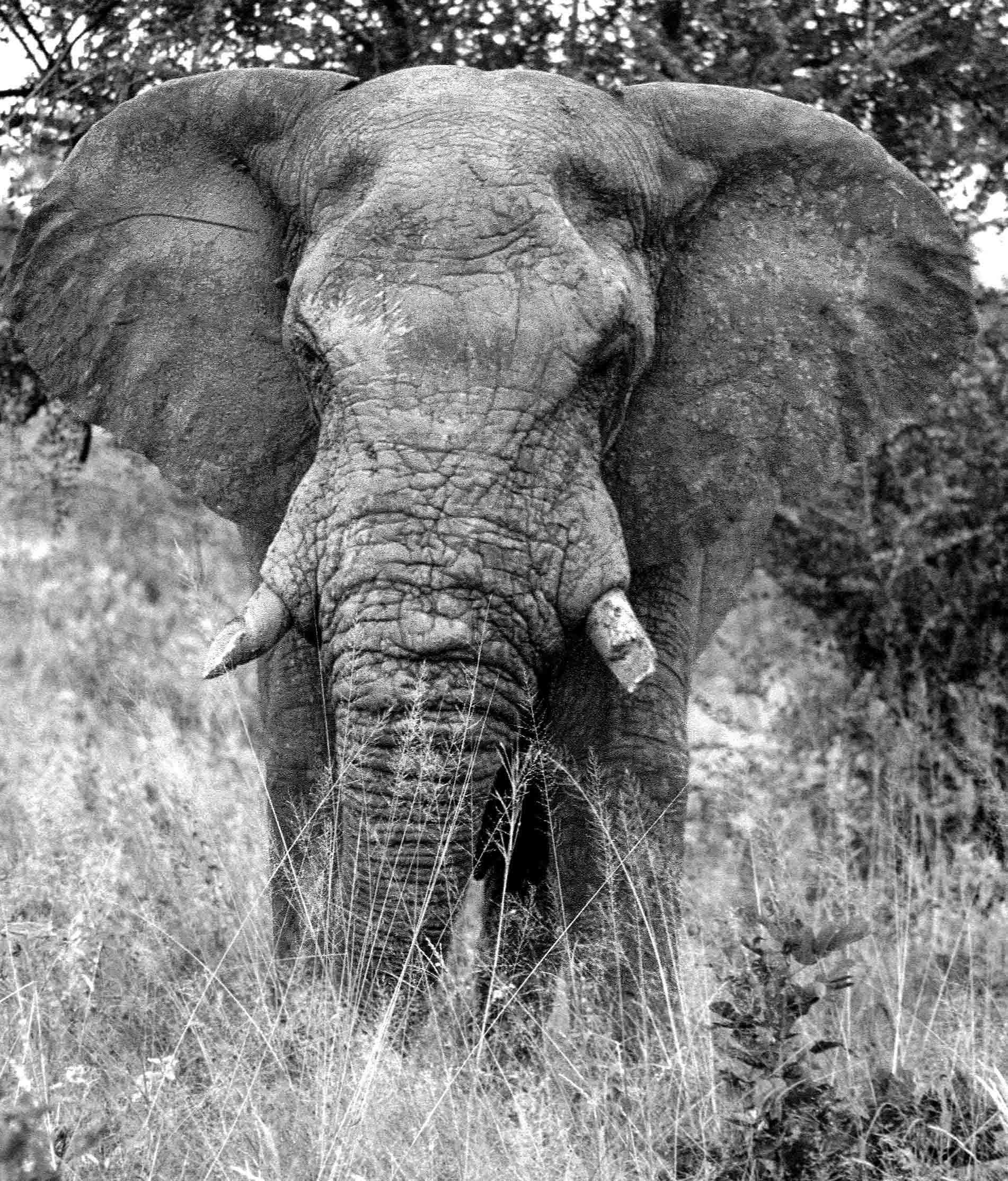 Medical professional who loves travel, wildlife (hence pic) and sport, taking photos whenever I can. Follower of Northampton Saints rugby wherever they go.