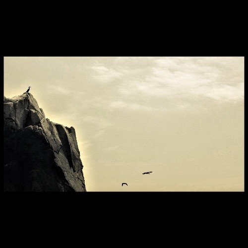 simt_taylor's profile picture. Photographer .