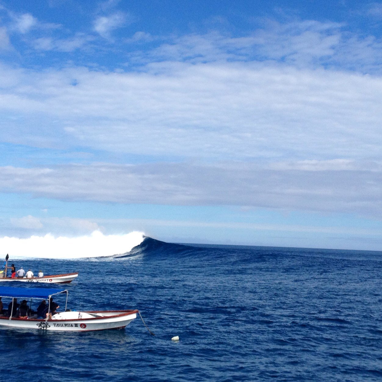 SbKapital's profile picture. 