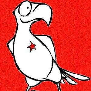 Die Sozialistische Jugend Deutschlands – Die Falken ist ein parteiunabhängiger Verband, der für eine tolerante, solidarische und gewaltfreie Welt streitet.