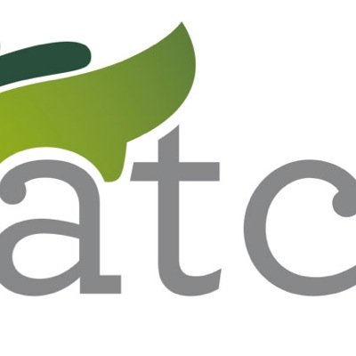 alejatineo's profile picture. 