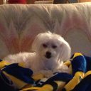 James Sumner - @jsumnermig21 - Twitter