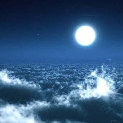 こが＊固定ツイ有 ﾂﾘｰに異種求も有さんのプロフィール画像