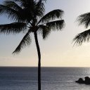 John Rubbo - @johnimages - Twitter