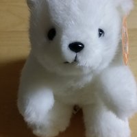 シロちゃん (@4rochan) / X