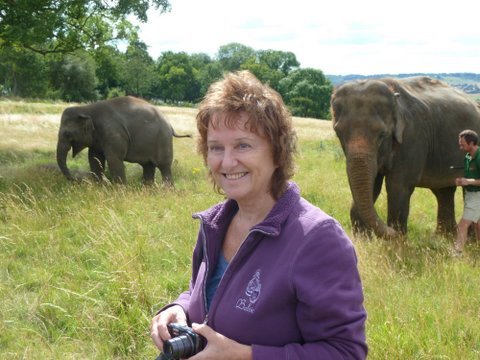 denaacupuncture's profile picture. Acupuncturist and Creator of 'Life Live, Feeling Well' Health Transformation Programme.