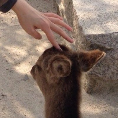 やっぱり冬のほうがすき。 やっぱりロックンロールのほうがすき。やっぱりパンのほうがすき。 めっちゃゾンビとチャッキーがすき。一生horror。