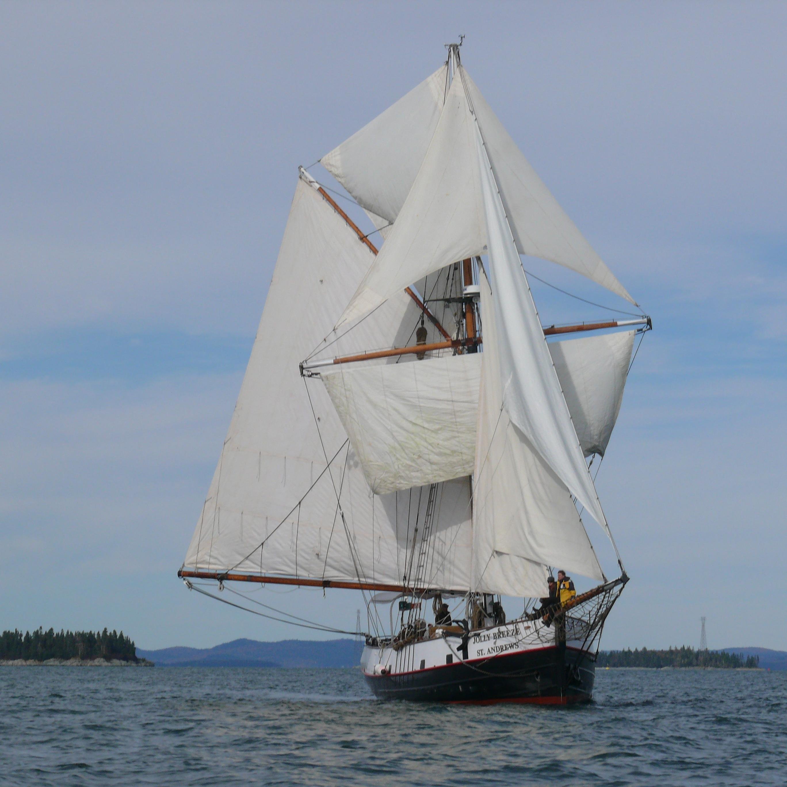Whale watching tours aboard a Tall Ship or a zodiac in the Bay of Fundy. See whales, seals, porpoise, Bald Eagles and more. A Slice of Life!