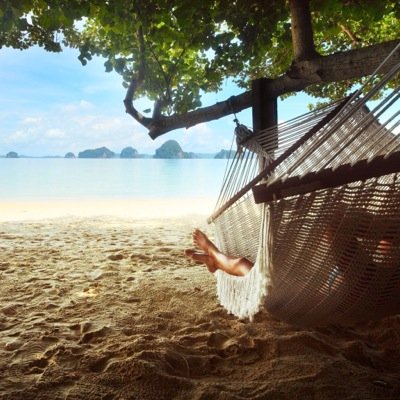 🇨🇦 small business owner#freedom of choice #liberalsmustgo #waking-people-up ;sharing real world news;exposing the truths