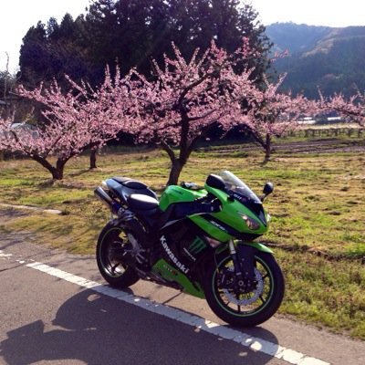 zx1000d Profile Picture