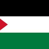 Paaleestinee's profile picture. 