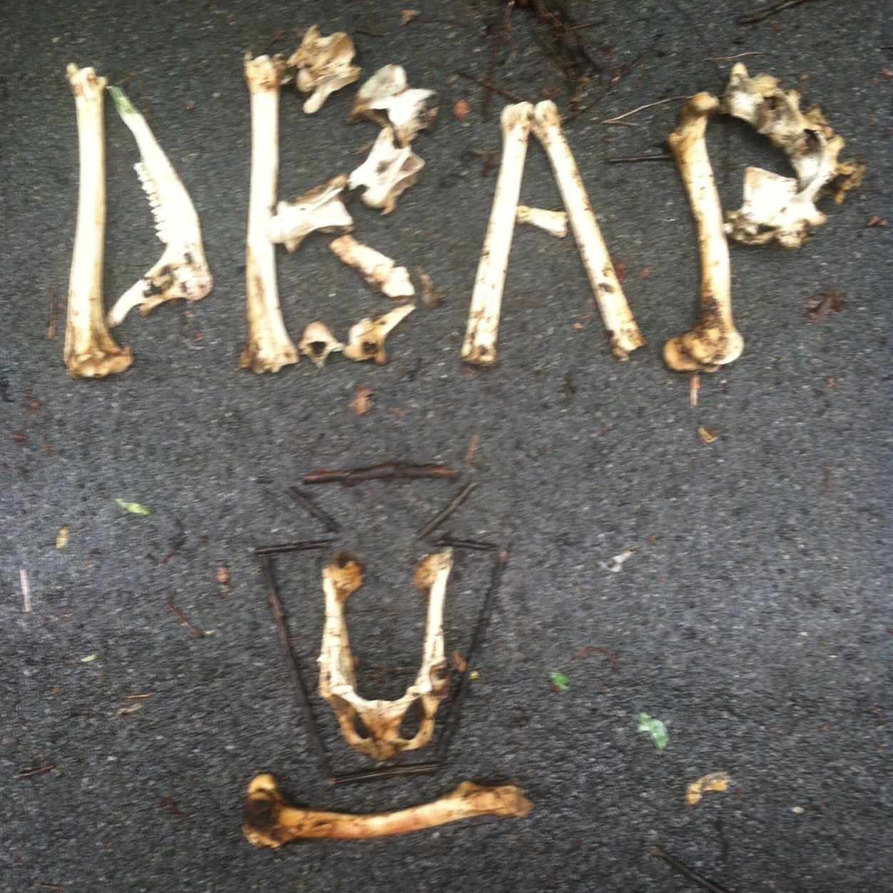 DBAP means Dont Be A Pussy, A creedo for the counter culture, if it pushes your limits and is ridiculously fun we are all about it #DBAP