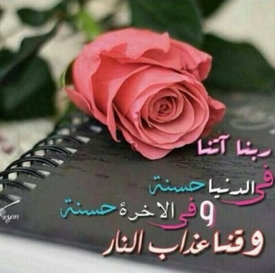 اعشق الكتابة ، كتاباتي ركام من خيالات مبعثرة أميل للفكرة التي لاتنحاز لرأي امقت المتشددين دينيا، وعرقيا، وفكريا ،شاركني الرأي ولاتفرضه علي