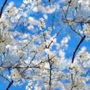 Tricia Marshall - @coachfan38 - Twitter