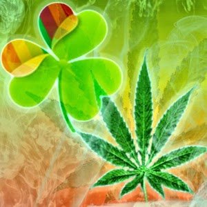 Ganja !!! #Maconha !!! #LegalizaBrasil 
#LegalizeJÁ Uma erva natural não pode te prejudicar !!!  Apoio o projeto de lei 7270/2014. #SDV #STDV