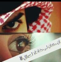 ‏‏‏‏‏‏جده___المدينة المنورة‏