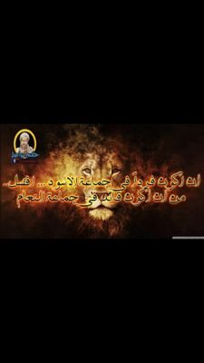 AzizAlzweeed's profile picture. 