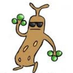 Psuedo_woodo's profile picture. 