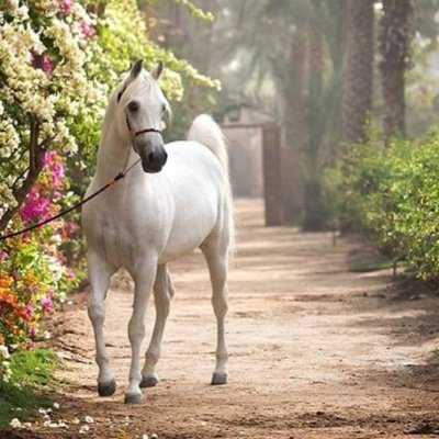 في السماء ؟ جنة ، وفي الأرض ؟ أمي❤️