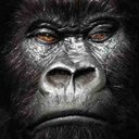 ROME DAVIS - @DavisRome7 - Twitter