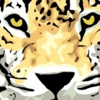 Office of Principal (@southwindedu) 's Twitter Profile