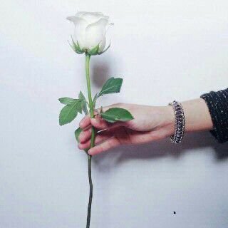 ‏‏‏‏‏‏‏‏‏جامعيه ، مضى من عمري 24 عام من السعادة ، صاحبة المفصل الأسود في الساق ، مخلوقه من ضلع اعوج ، ناقصة عقل ودين ، كيدي عظيم ..    * رحمك الله ي أبي *