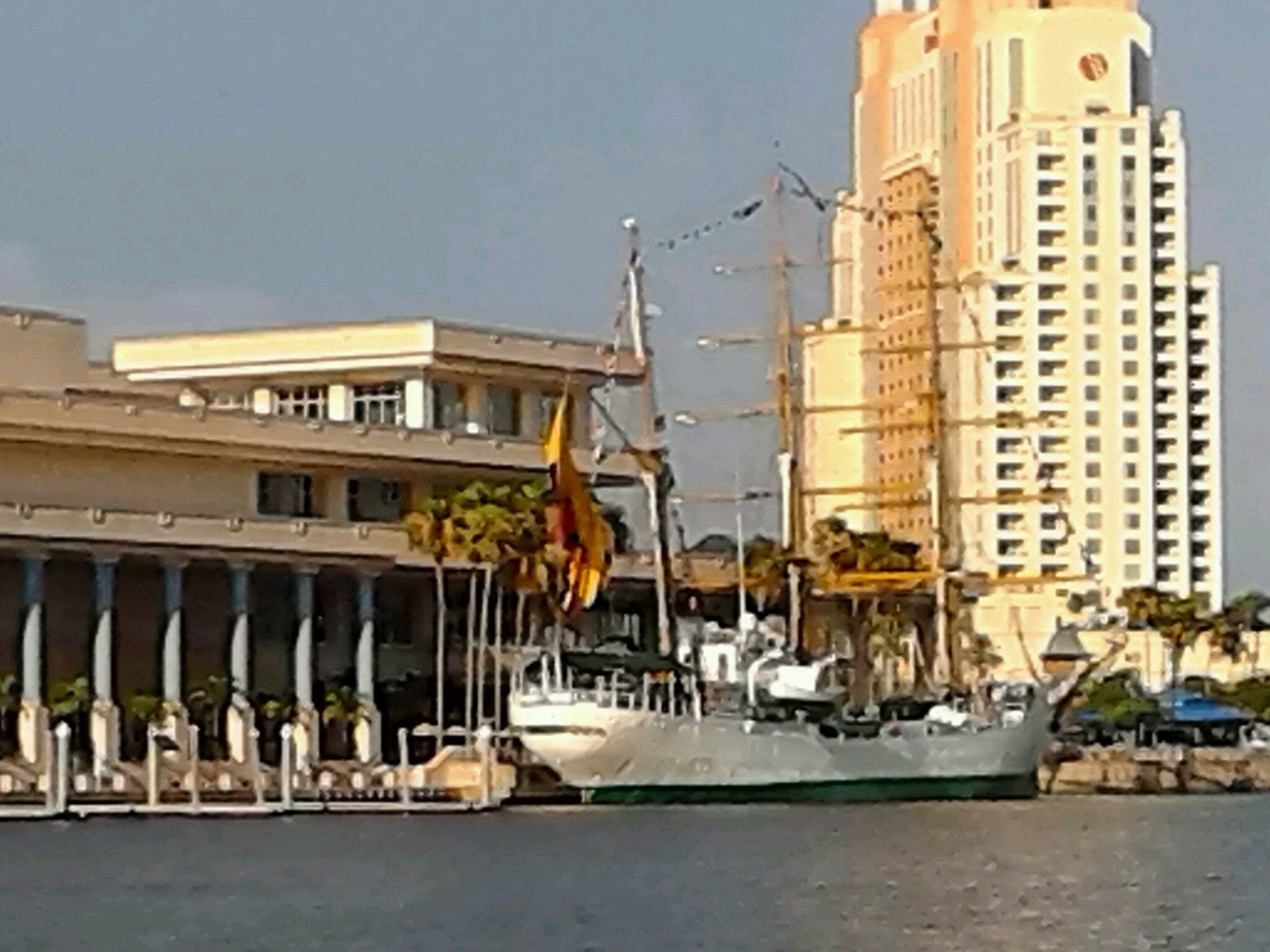 SongsOfTheSiren's profile picture. I'm a person I do person stuff