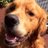 WheresBear's profile image