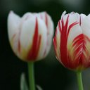 Laura Mathieu - @LauraMathieu11 - Twitter