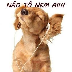 Não gosta de mim??Deita na BR