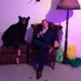 Craig Giles (@farmergiles78) Twitter profile photo