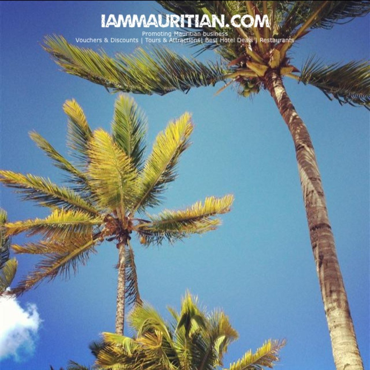 Vouchers & Discounts | Tours & Attractions| Best Hotel Deals | Restaurants.