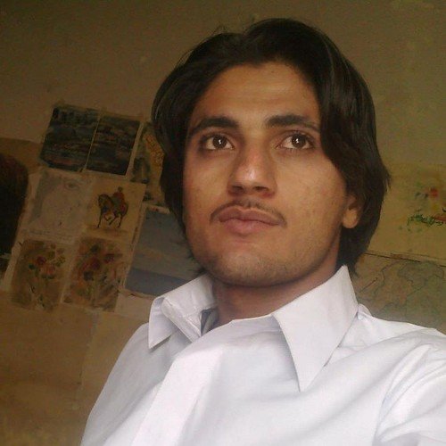 shah_balochi's profile picture. 