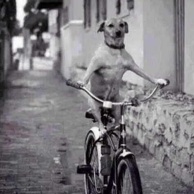 Viviendo la vida!!!