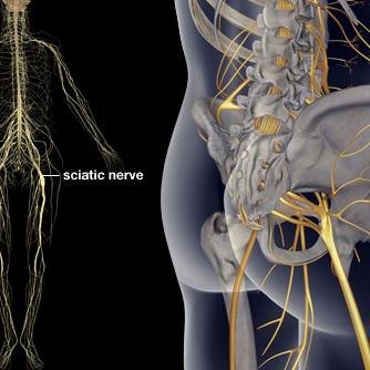 #sciatica #sciatic #backpain
Everything is funny as long as it is happening to somebody else.