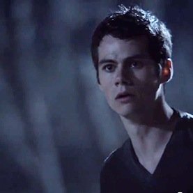 BeautifulStiles's profile picture. I want adventure in the great wide somewhere. I want it more than I can tell. There must be more then this provinical life. #BeautyandtheBeast (TW AU MC)