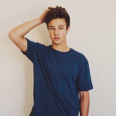 im just here  to help you smile again because cameron follows you ❤️