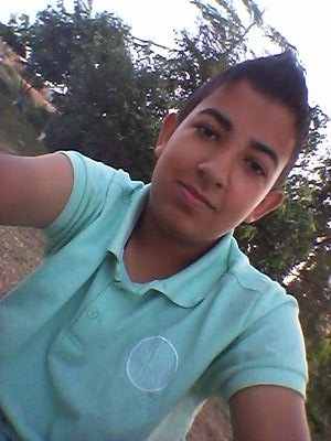 what 031 98715446