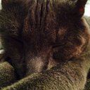 Madelyn Morrison - @Maddymoozy - Twitter