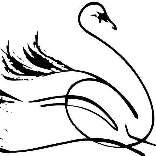 SwanAmityStudio's profile picture. Quilt Pattern Company