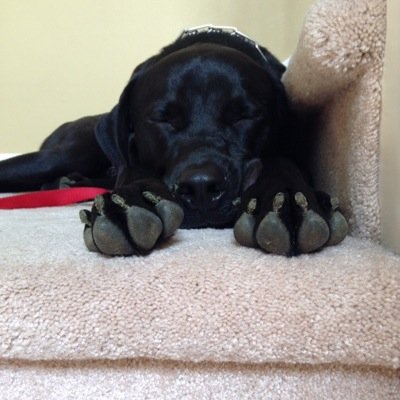 amandah67599146's profile picture. 