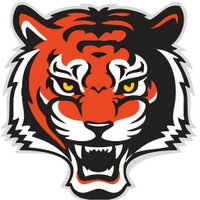 Brighton Football (@brightonfootbal) 's Twitter Profile